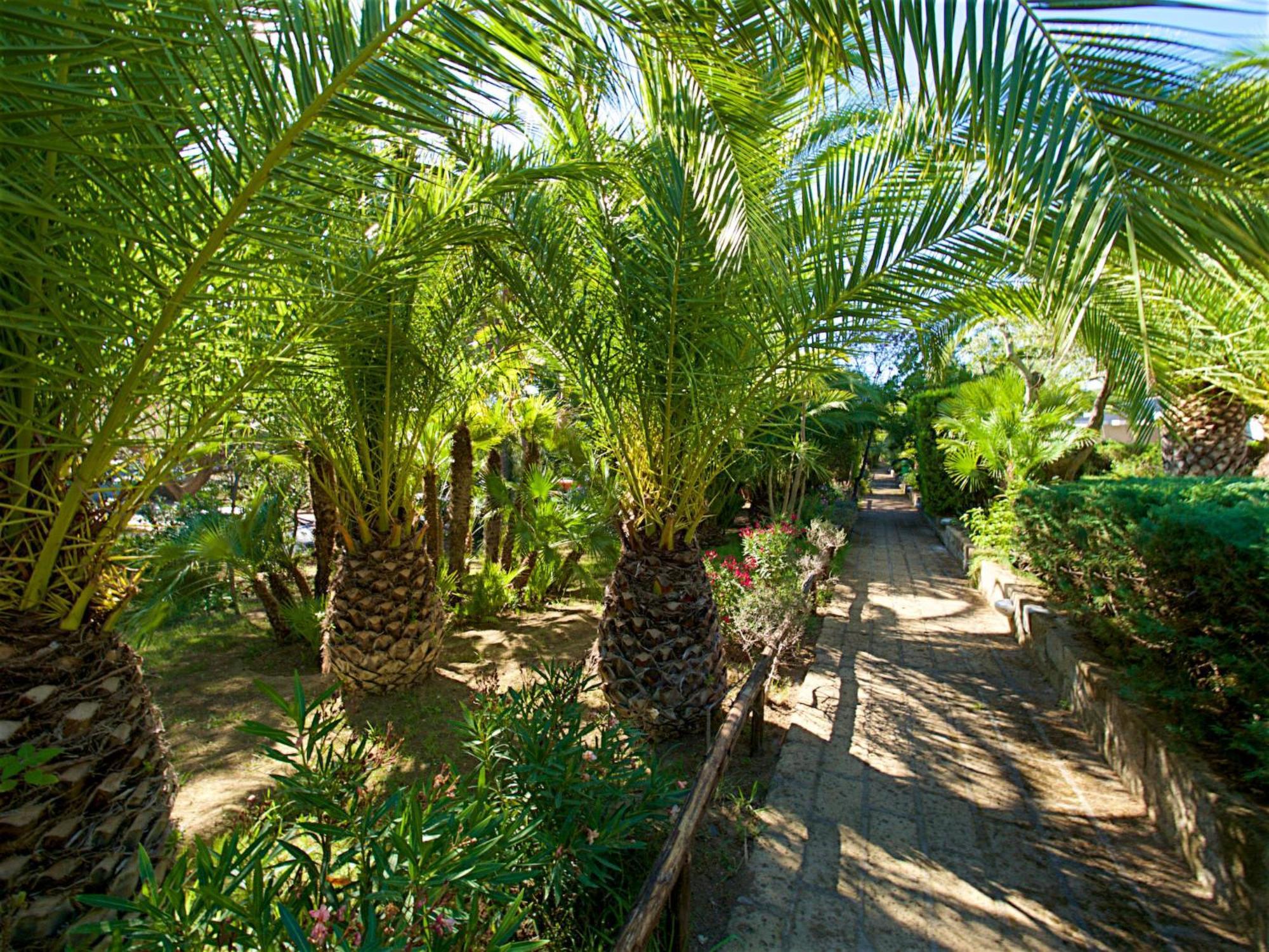Holiday Home Twoo-Room Comfort By Interhome Castiglione della Pescaia Exterior foto